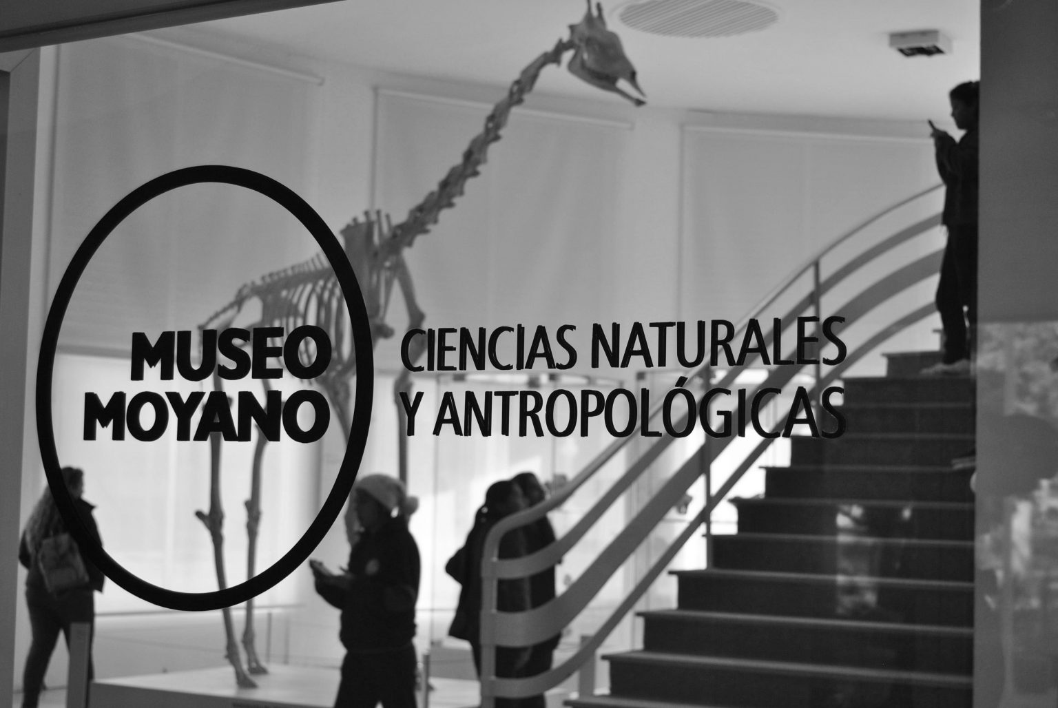 museo ciencias naturales y antropologicas juan cornelio moyano 1