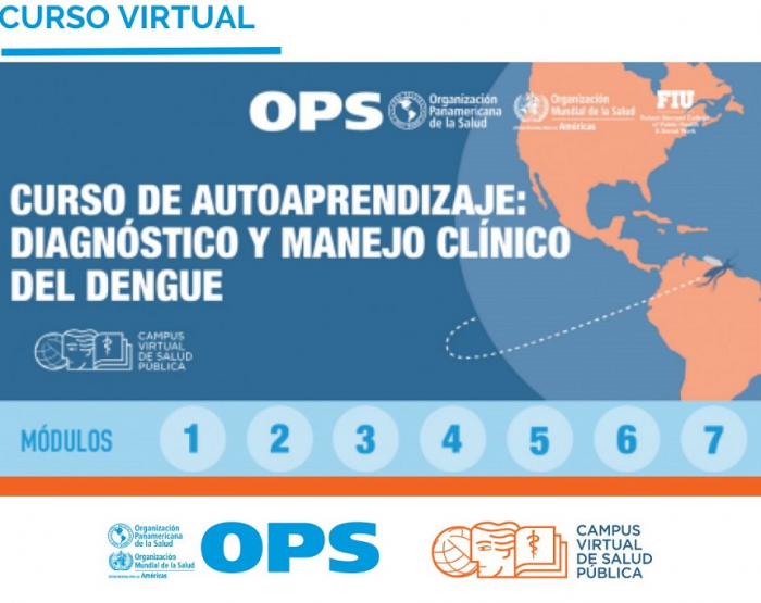 Curso-Virtual-Dengue-OPS-2024-700x555
