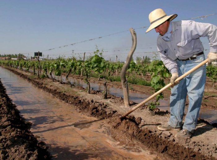 Fondo Compensador Agrícola: hasta el 12 de septiembre hay tiempo para adherirse